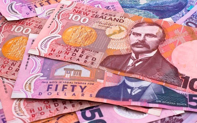 ارتفاع زوج NZD/USD